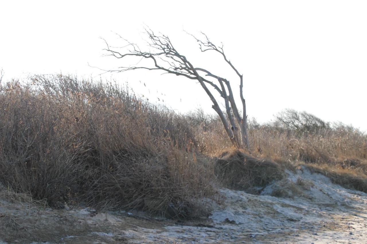 Meine Fischerhuette Börgerende-Rethwisch Dış mekan fotoğraf
